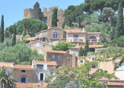 Bormes les Mimosas